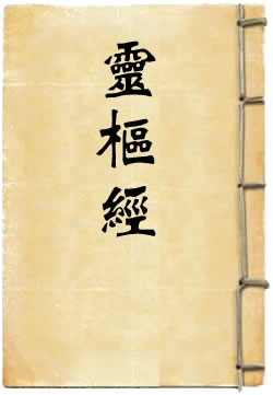 灵枢经 - 作品封面