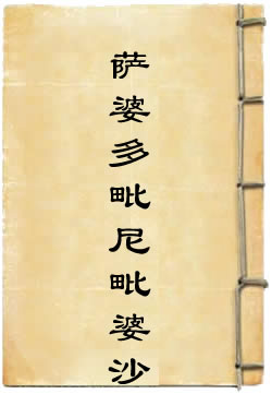 萨婆多毗尼毗婆沙 - 作品封面