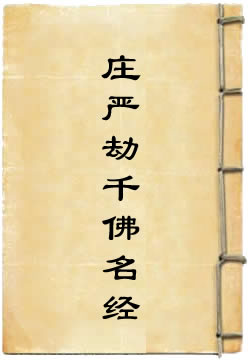 过去庄严劫千佛名经 - 作品封面