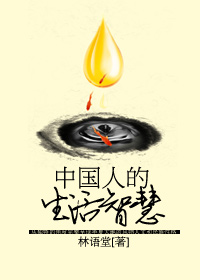 中国人的生活智慧