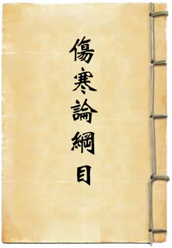 伤寒论纲目 - 作品封面
