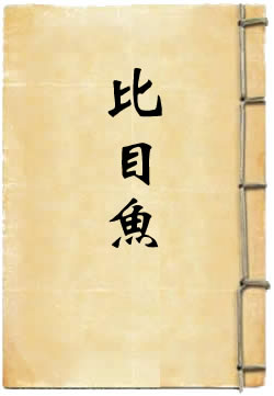 比目鱼 - 作品封面