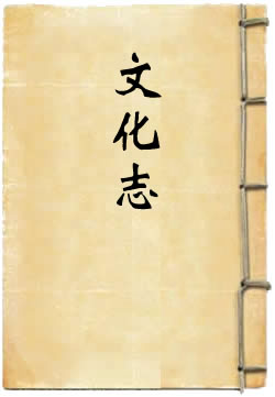 江苏省通志稿文化志 - 作品封面