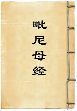毗尼母经 - 作品封面