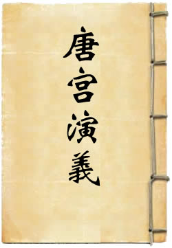 唐宫二十朝演义 - 作品封面