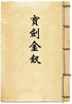 宝剑金钗 - 作品封面