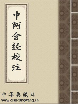 中阿含经
