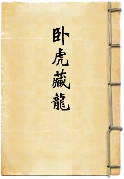 卧虎藏龙 - 作品封面