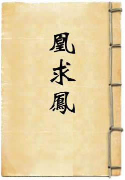 凰求凤 - 作品封面