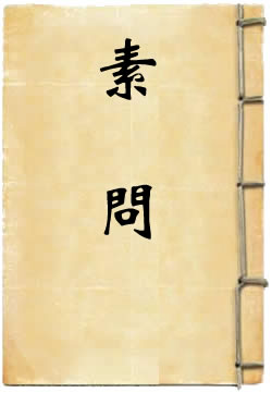 素问 - 作品封面