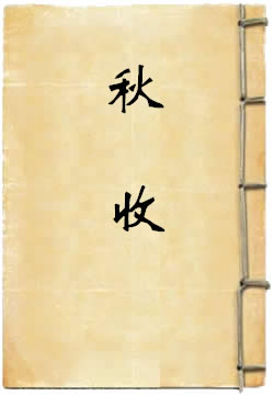 秋收 - 作品封面