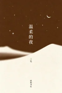温柔的夜