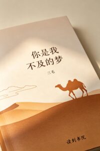 你是我不及的梦