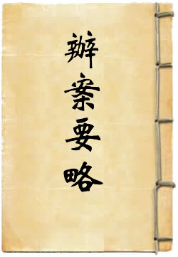办案要略 - 作品封面