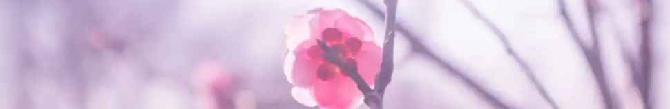 五经大全 - 专题封面
